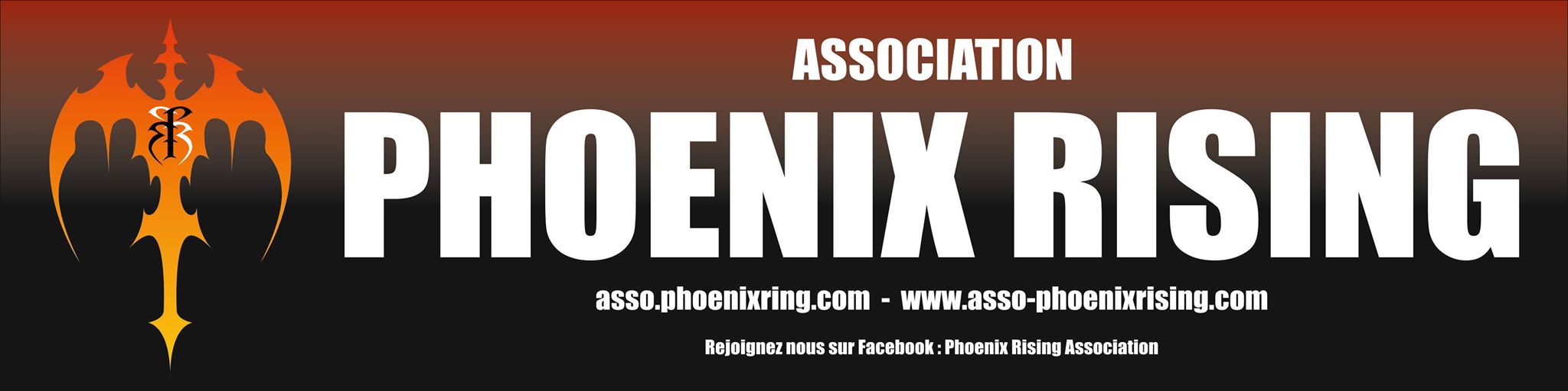 Phoenix Rising Association